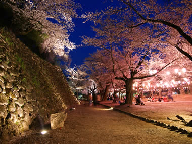 小諸城址 懐古園