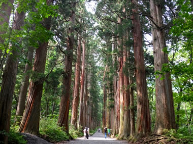 戸隠神社